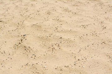 Texture of sandy beach as background, closeup