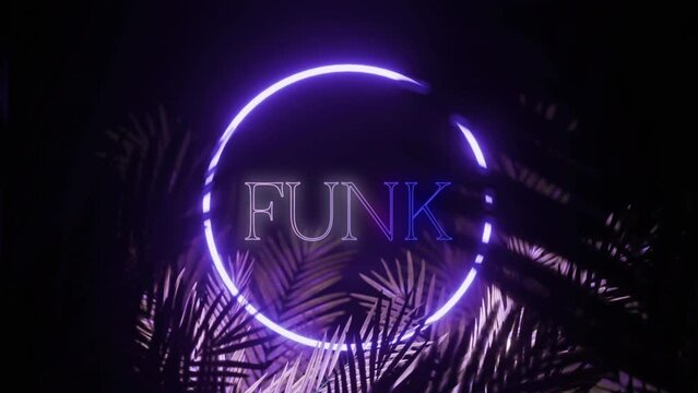 Animation of funk text and hexagon in blue neon, with palm leaves on black background
