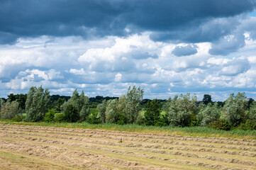 Fototapeta na wymiar Zwolle, Overijssel, The Netherlands, - Dike view over the nature fields, trees and clouds of the River Ijssel flood zone
