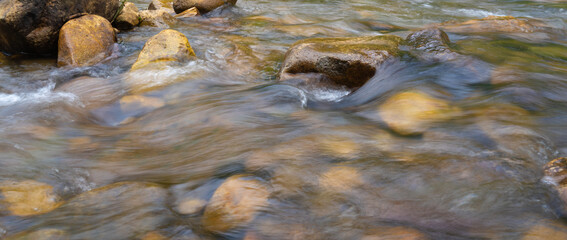 water flowing in the forest