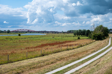 Colorful nature landscape over blue clouds at the flood zone of the River Ijssel , Oldeneel