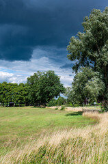 Zwolle, Overijssel, The Netherlands,  Grass, trees and dark blue clouds at the nature reserve around the River Ijssel
