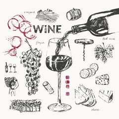 Wine bottle, wine glass, hand pouring wine, snack, cheese, grapes, vine, vineyard, cork, corckscrew, bread, wine stains.
