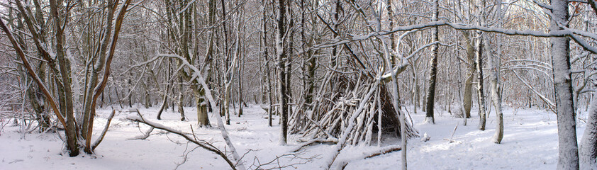 Panoramic view of the snowy forest, Auvergne, Puy-de-Dome