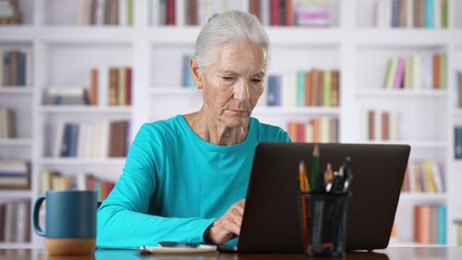 Senior, elderly woman reads great news on laptop feels excited looking cheerful. Success and achievement, older generation and modern wireless tech usage concept.