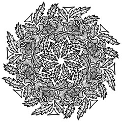 Round floral ornament for coloring book or page