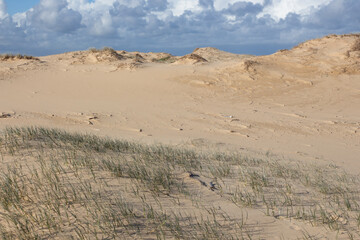 sand dunes at the beach