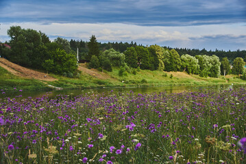  The river flows among the blooming banks.