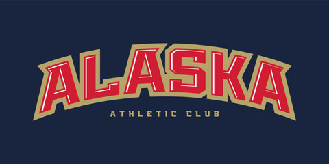T-shirt stamp logo, USA Sport wear lettering Alaska tee print, athletic apparel design shirt graphic print