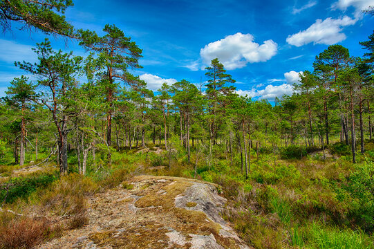 Wanderparadies Haldenkanalen - Honningen bei Schweden