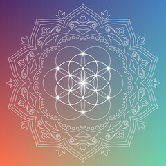 Flower of life sacred geometry zentangle inspired design template with oriental tribal ornaments. Ornamental new age art.