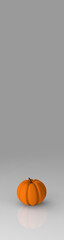 Pumpkin is insulated on a gray mirror background with reflection. Vertical banner for insertion into site. Place for text cope space. 3d rendering. 3d image