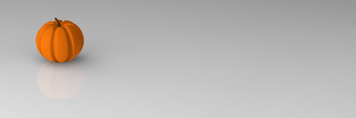 Pumpkin is insulated on a gray mirror background with reflection. Banner for insertion into site. Place for text cope space. 3d rendering. 3d image