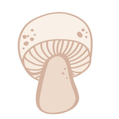 mushroom isolated on white