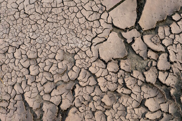  ecological imbalance and thirst. famine and drought people's calamity. failure of cereals and...