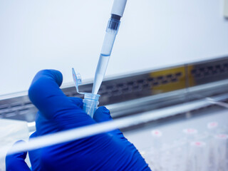 Scientist takes liquid from a test tube with a laboratory pipette, conducting molecular research,...