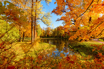 Autumn landscape in Alexander park, Pushkin, Saint Petersburg, Russia