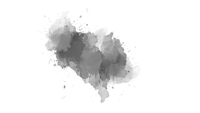ink splatter compositing on a white background. watercolor black ink splatter compositing. Abstract ink slow motion transition reveal. ink splatter. ink brush stroke, fluid art, overlay, alpha matte 