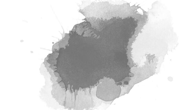 A black ink spot appears on a white background. watercolor black ink splatter compositing. Abstract ink splatter transition. ink brush stroke, fluid art background, overlay, alpha matte composition.
