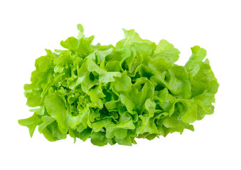 Obraz na płótnie Canvas Salad leaf. Lettuce isolated on transparent png