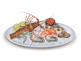 langoust, oursin, crevette, coquillages, plateau, glace pilé, fraîcheur, frais, pêche, aliment, brasserie, mer, animal, sain, fond blanc, attraper, repas, cuisiner, plat