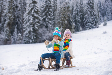 Children sledding, riding a sledge. Children son and daughter play in snow in winter. Outdoor kids fun for Christmas family vacation.