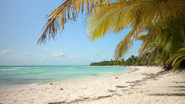 Paradise beach on Saona Island, Dominican Republic. Incredible turquoise sea water and white sand. Calm relaxing vacation atmosphere