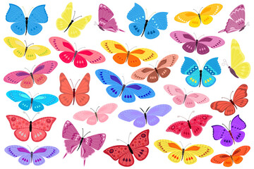collection of different colorful butterflies for your design