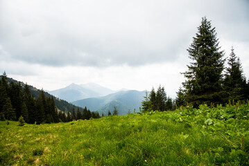 Autumn mountain landscape. Evening in the Carpathian