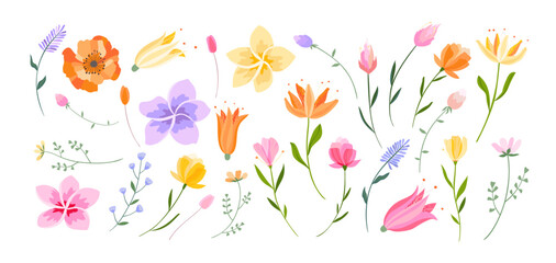 Vector floral illustration. Set of leaves, wildflowers, twigs, floral arrangements. Beautiful compositions of field grass and bright spring flowers.