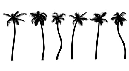 Palm tree black silhouette realistic set. Tropic leaves jungle plants collection vector illustration. Summer tropical trees isolated on white. For your design of flayer, party poster, vacation banner.