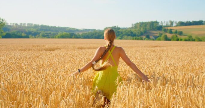 Portrait young happy fantasy blonde woman princess runs walks in golden nature ripe wheat field. Light green dress waving in slow motion. Summer vibes. Candid girl, back rear view. Handheld.
