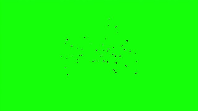 3d Animation Of Swarm Of Flying Flies On Green Screen Background. A Lot Of Mosquitoes, Flies, Bees, Insects. For Compositing Over Your Footage. Seamless Loop Animation.