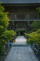 Obraz premium entrance to the temple