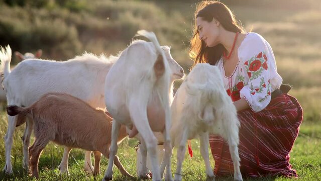 Young Ukrainian woman waters the goats from water can in traditional national clothes on pasture at sunset.