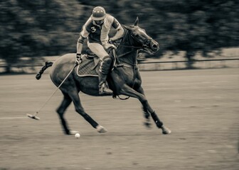 Stylized edit of a polo player mid-game during the Groundsman Cup, Kirtlington Polo Club. © Pez Photography/Wirestock Creators