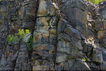 Stonewall mining quarry in the summer