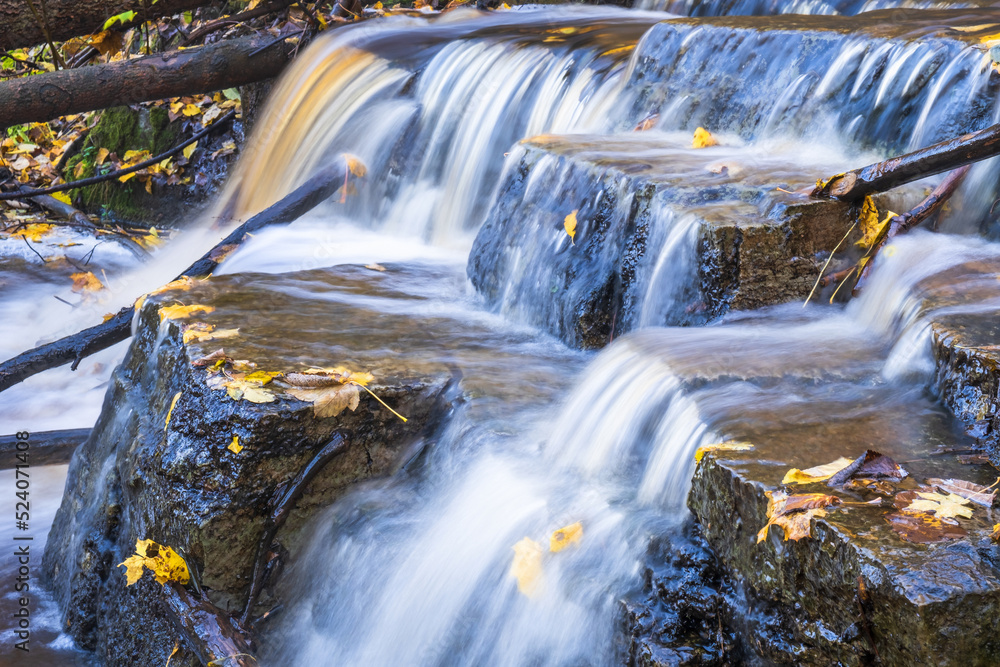 Poster Falling water in a creek with autumn colored leaves