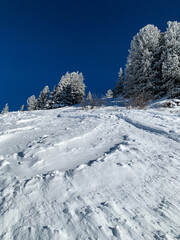 snow covered mountain trees, snowy landscape