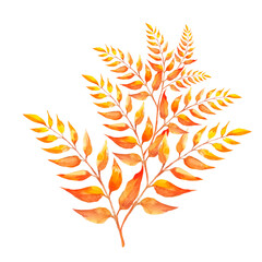 dry yellowed leaves illustration