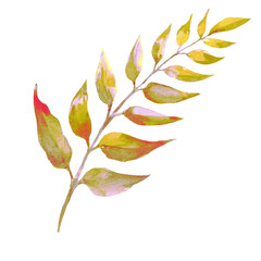 dry yellowed leaves watercolor illustration