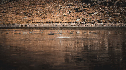 View of waterside brown hill slope on a sunny day