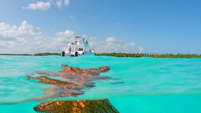 Split shot of a an azure tropical sea on Saona Island, Dominican Republic. Boat if floating on an above half of the shot and beautiful starfish in mans hand is on underwater half of the shot