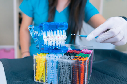 Crop female dentist choosing plastic bands for braces in dental clinic
