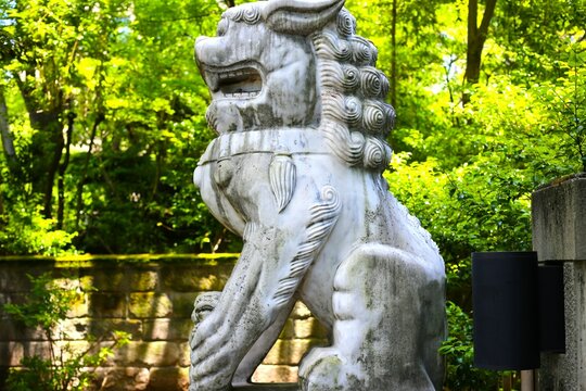 Komainu Bilder Durchsuchen 11,468 Archivfotos, und