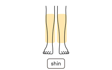 女性の脱毛イラスト　パーツ別、ひざ下