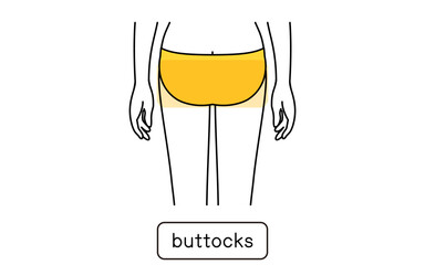 女性の脱毛イラスト　パーツ別、おしり