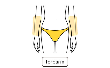 女性の脱毛イラスト　パーツ別、ひじ下