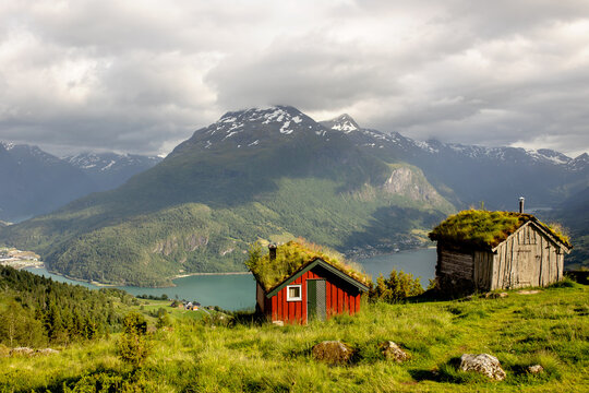 People, adult with kids and pet dog, hiking mount Hoven, enjoying the splendid view over Nordfjord from Loen skylift