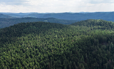 Fototapeta na wymiar View over the Vosges seen from the rock 57850 Dabo